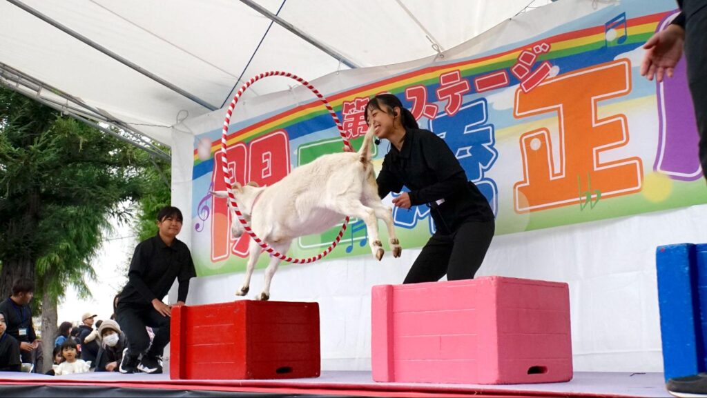 関西矯正展（2023年11月11日(土)、12日(日)開催）のステージでヤギのショーを披露するドルフィントレーナーを目指す専門学生たち