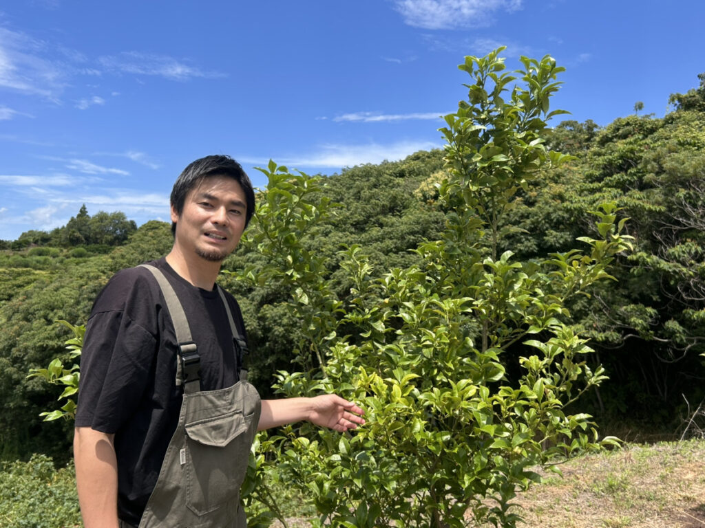 戸田隆矢のレモン農園