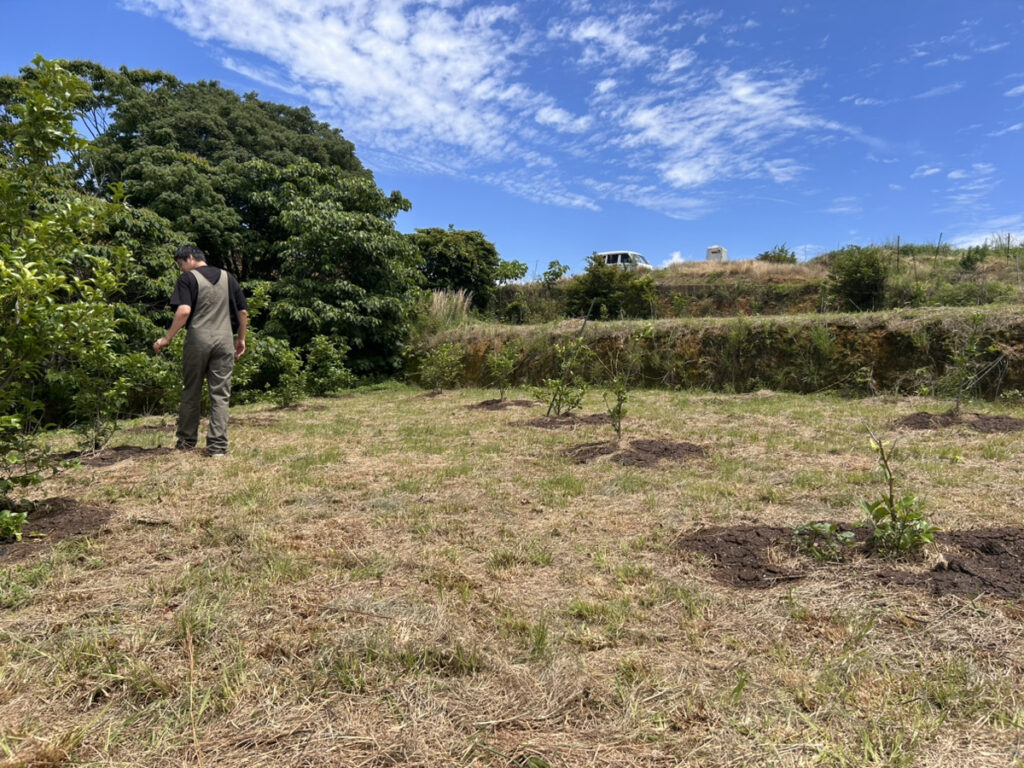 レモン農園を歩く戸田隆矢氏