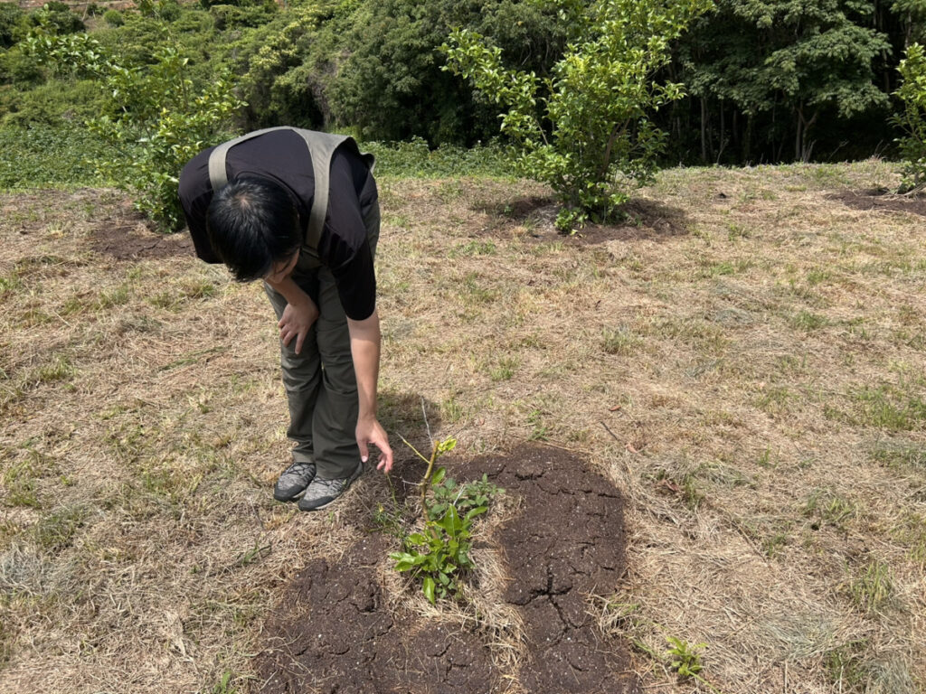 レモンの苗を触る戸田隆矢氏