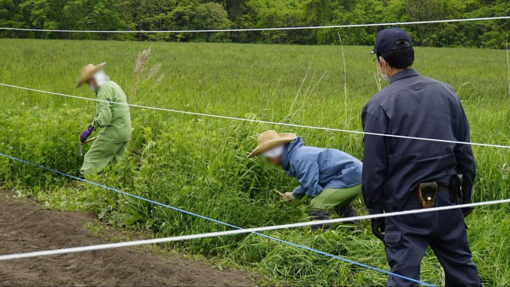 二見ヶ岡農場の畑整備をする受刑者と、監視する刑務官