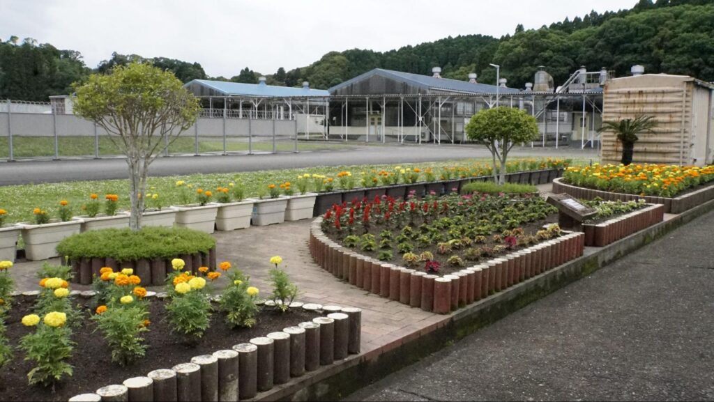 受刑者が花を植えた刑務所内の花壇