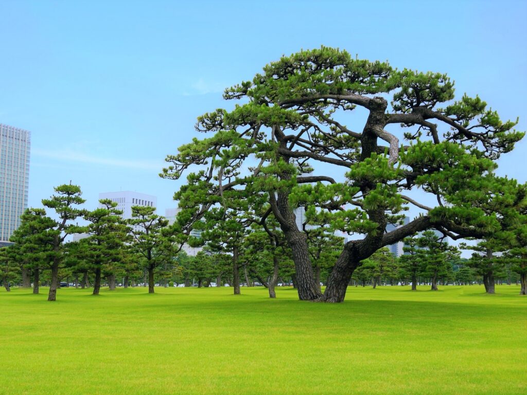 悠仁さま、19歳誕生日に40年ぶりの成年式で大人の仲間入り