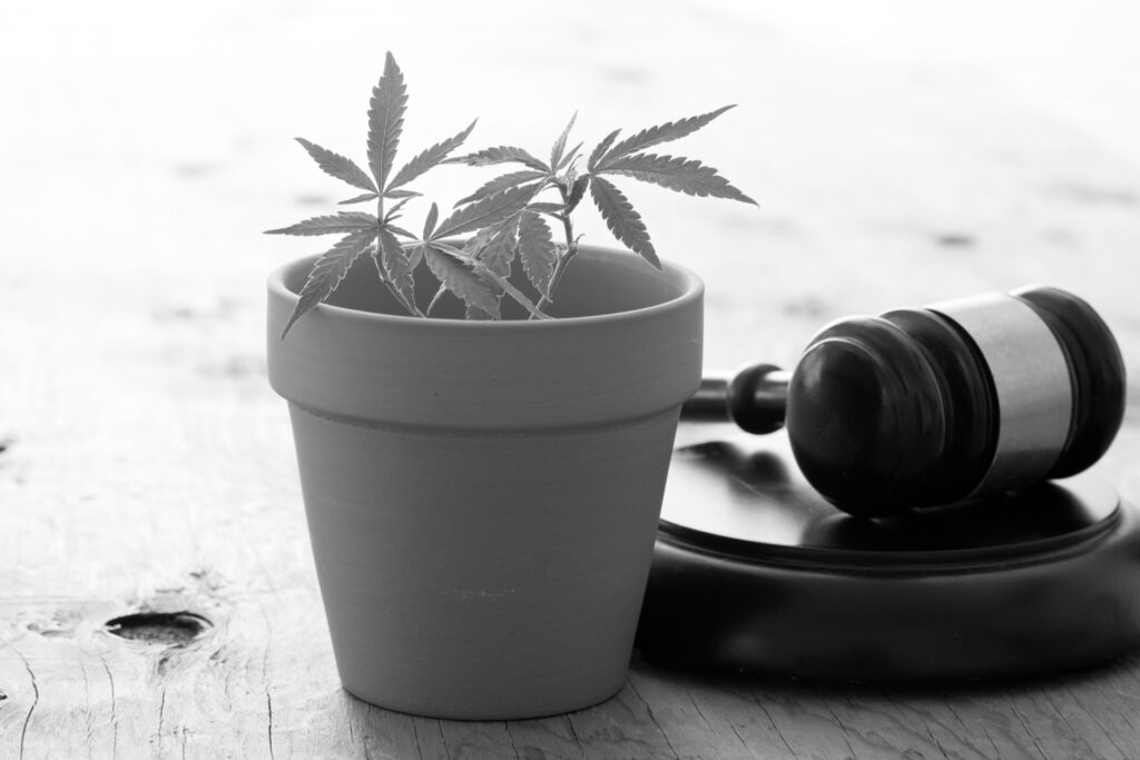 俳優・遠藤健慎容疑者、大麻所持容疑で逮捕　清水尋也被告との「盟友関係」が浮き彫りに