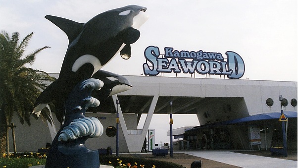 シャチのショーが人気の千葉県の水族館「鴨川シーワールド」