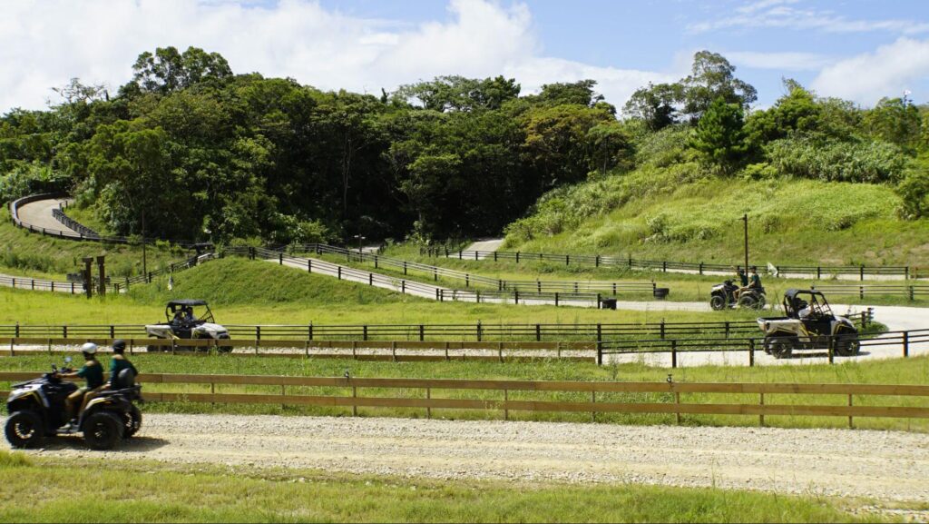 ガジュマルやデイゴ、ヤエヤマヤシなど生命力あふれる亜熱帯の樹木に囲まれたコース