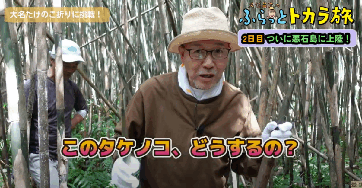 収穫した大名タケノコは夕食に