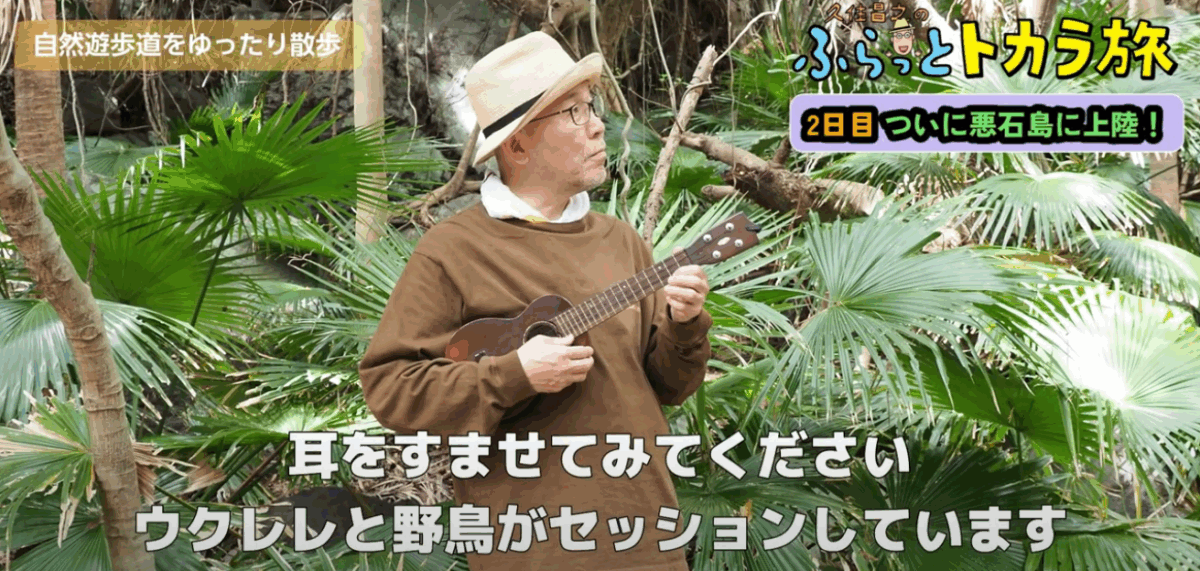 悪石島の森のなかで、野鳥とセッション