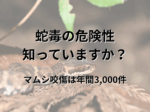 蛇毒の危険性、知っていますか？マムシ咬傷は年間3,000件｜ライター：秋谷進（たちばな台クリニック小児科）