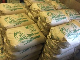 新米コシヒカリの玄米盗難被害が急増　地域農家に防犯対策を強化呼びかけ