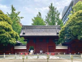 東大、AI・宇宙開発分野で2学部新設構想　「国際卓越研究大学」認定目指し世界最高水準へ