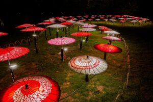 和傘の演出(10/14撮影)