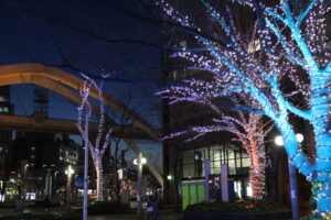 夢のわを開催した銀座通り～栄町通り