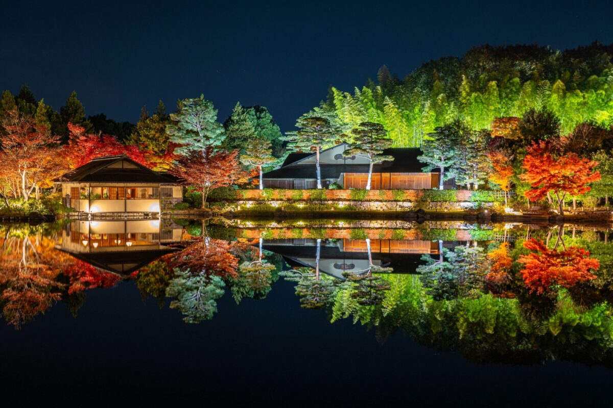 幻想的な夜の日本庭園が見頃【国営昭和記念公園】