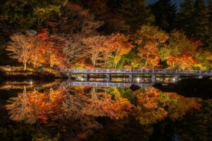 木橋付近の紅葉(1115撮影)