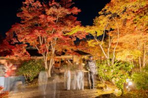 清池軒裏の紅葉(1112撮影)