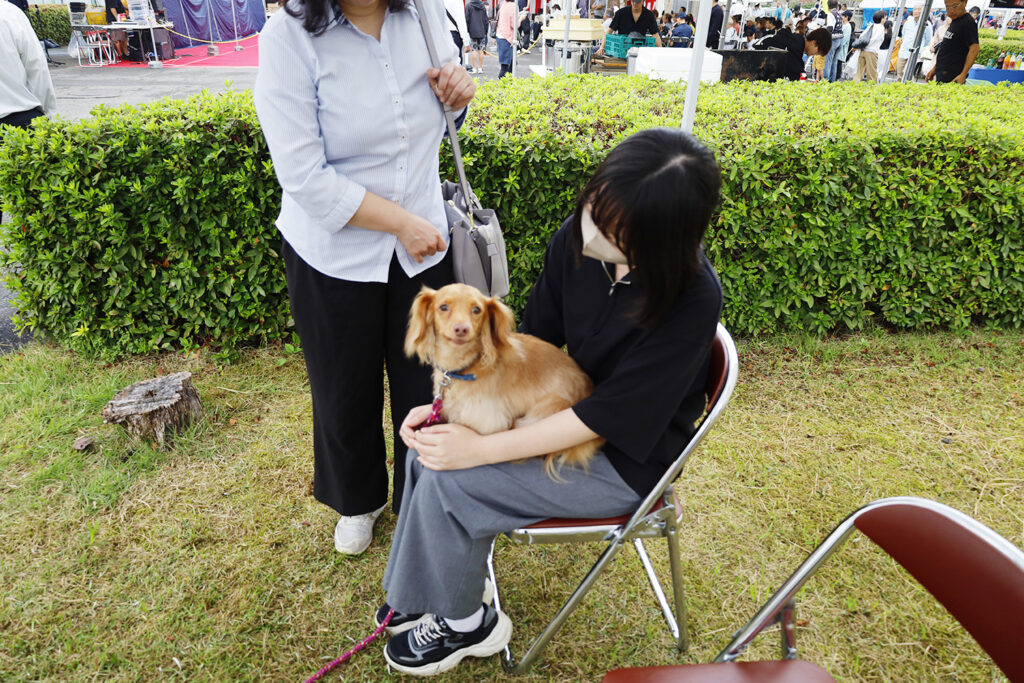 ふれあい体験に参加できなかった方と動物との交流の場