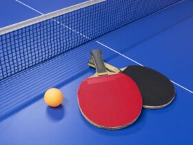 福原愛さん、年下男性と再婚し第3子妊娠　泥沼離婚から4年で私生活は新たな局面へ