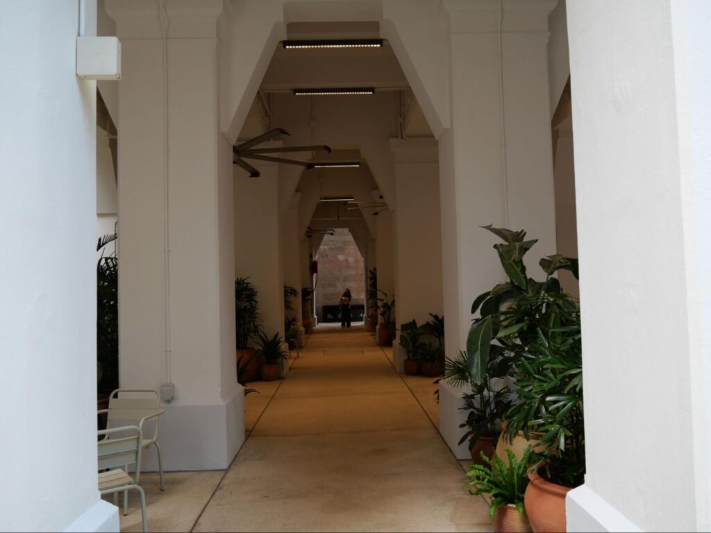 「洗衣場石階 LAUNDRY STEPS」の階段下フロアの横のスペースには、植物がたくさん置かれているフリースペースのよう (1)