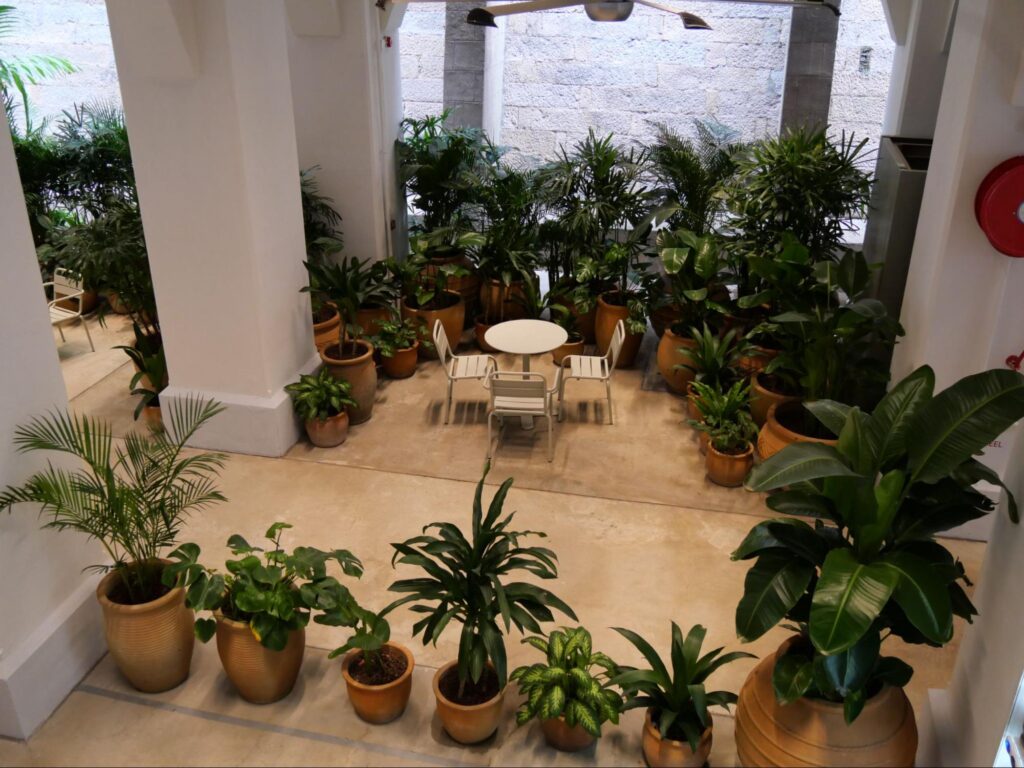 「洗衣場石階 LAUNDRY STEPS」の階段下フロアの横のスペースには、植物がたくさん置かれているフリースペースのよう (2)