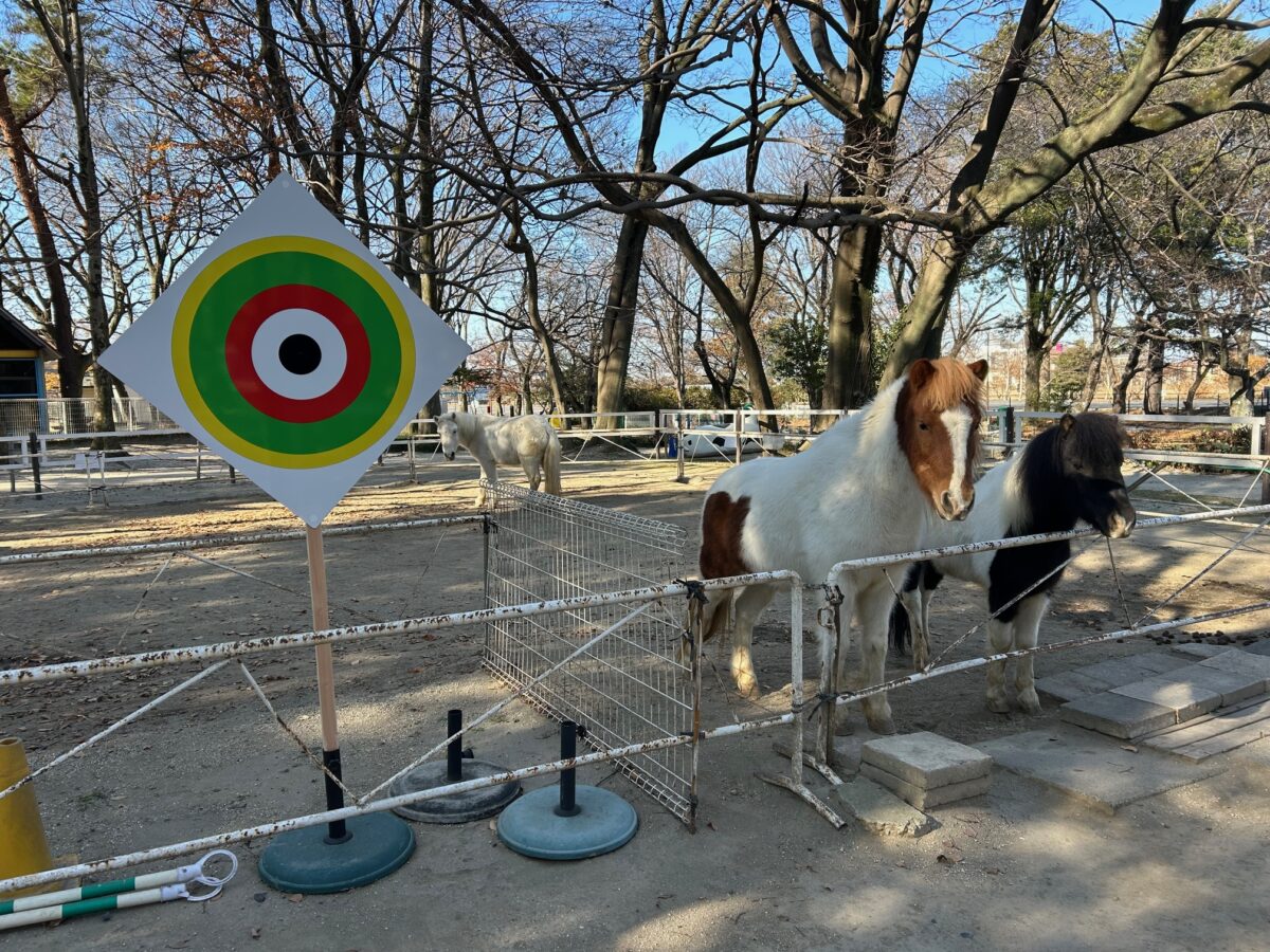 【新春！ポニーちびっこ流鏑馬体験】「的」イメージ