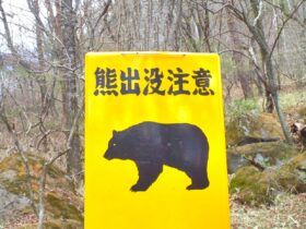 クマをドローンで撃退 宮城・石巻市がクマよけスプレー搭載機を導入へ