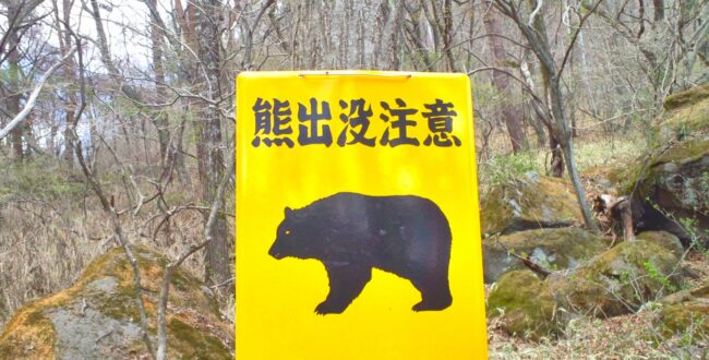 クマをドローンで撃退 宮城・石巻市がクマよけスプレー搭載機を導入へ