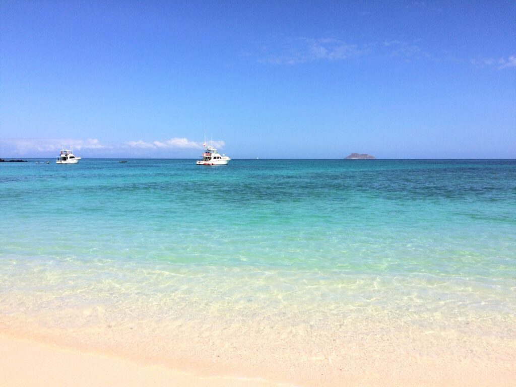 南米4カ国の違法漁業対策にドローン供与へ―日本政府、2025年度補正予算で3億円計上