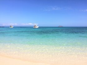 南米4カ国の違法漁業対策にドローン供与へ―日本政府、2025年度補正予算で3億円計上