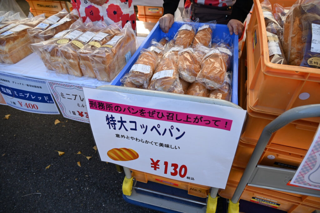 令和7年度松山矯正展