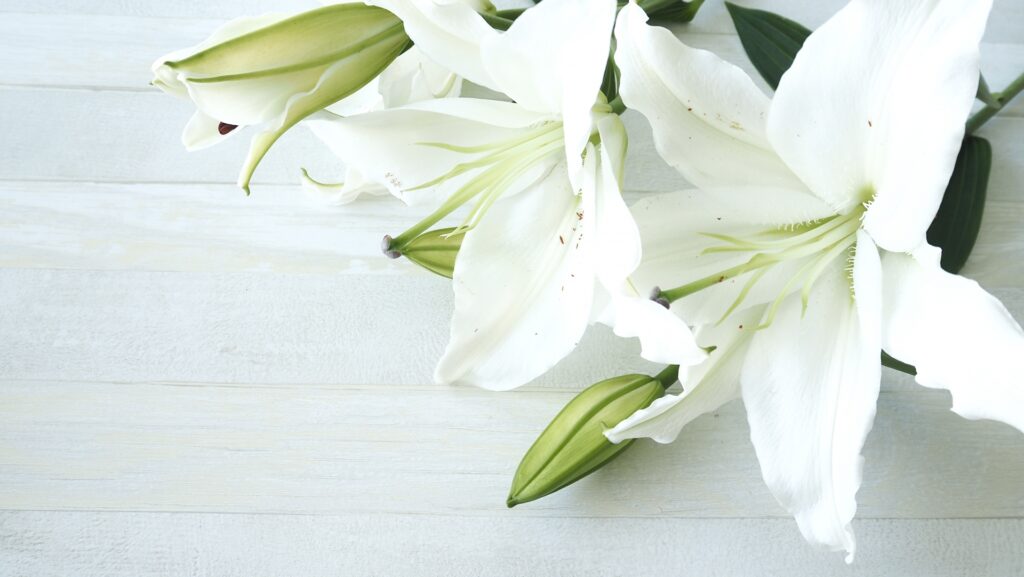 フリーアナウンサー久米宏さん死去、81歳 「ニュースステーション」「ザ・ベストテン」で時代を語り続けた