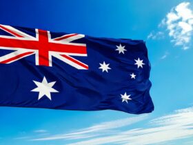 牛が道具を器用に使用、世界初の科学的記録で認知能力に注目集まる