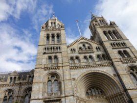 ポケモン生態図鑑がロンドンで大反響 世界三大博物館でジオラマ世界初公開