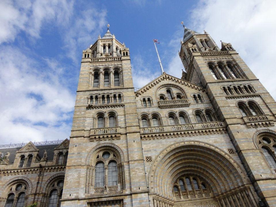 ポケモン生態図鑑がロンドンで大反響 世界三大博物館でジオラマ世界初公開