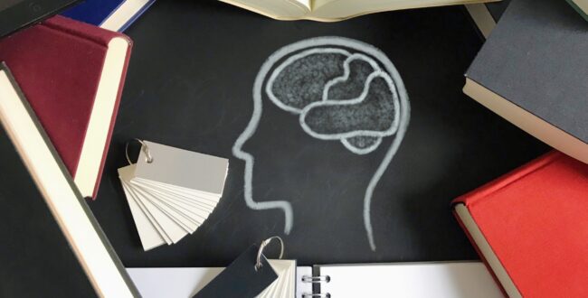 40Hz音刺激がアルツハイマー病原因物質を除去 霊長類実験で実証