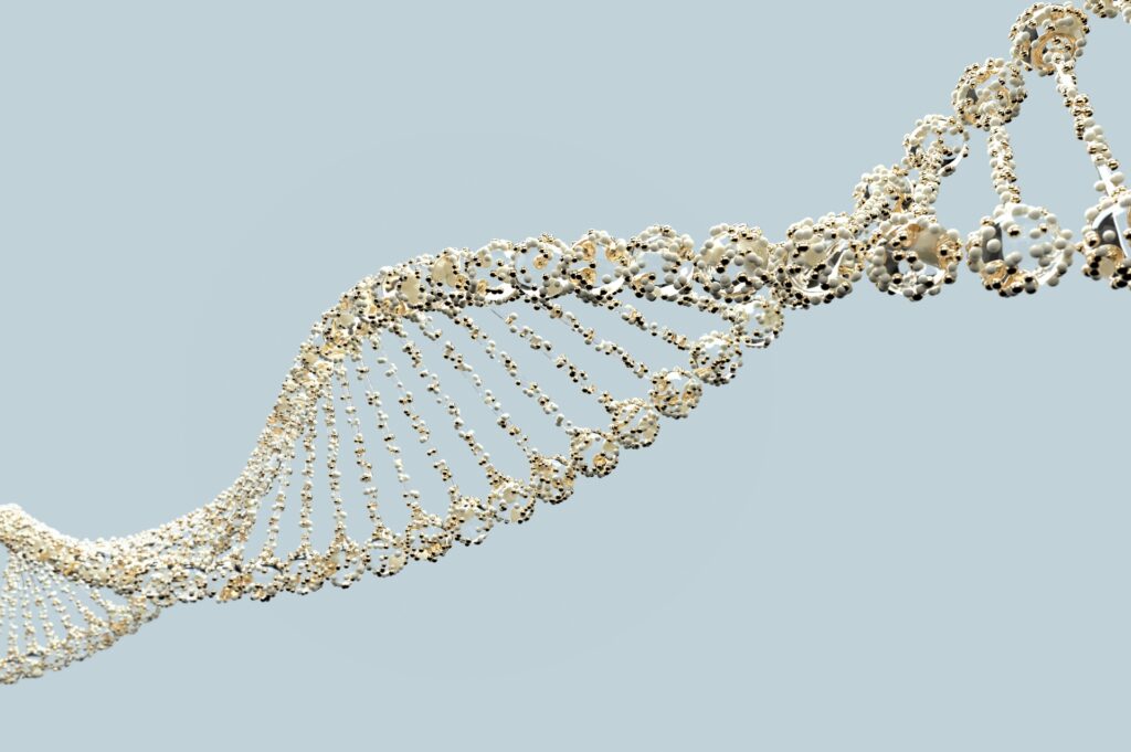 数万年前の日本列島にライオンが生息 DNA分析でトラ説を覆す