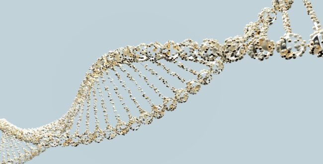 数万年前の日本列島にライオンが生息 DNA分析でトラ説を覆す