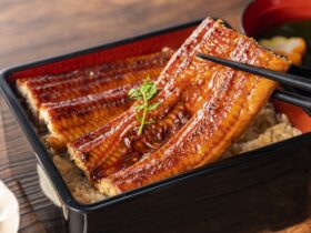 ウナギ完全養殖が商業化へ加速 水産庁が7億円投資、今夏に人工ふ化ウナギのかば焼き試験販売