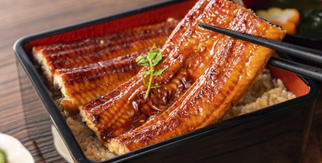 ウナギ完全養殖が商業化へ加速 水産庁が7億円投資、今夏に人工ふ化ウナギのかば焼き試験販売