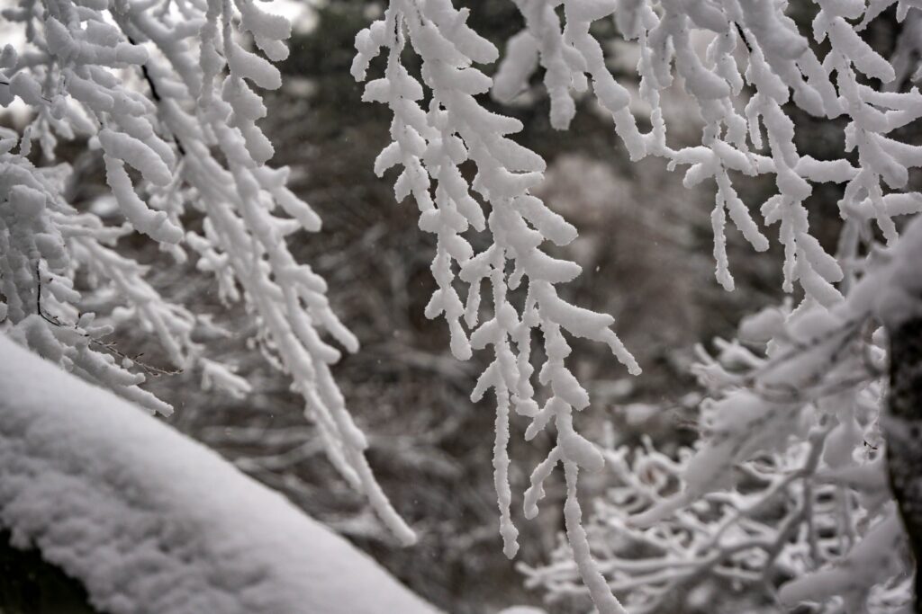 「冬ソナ」“究極の純愛”が劇場に復活　日本限定4K版で名シーン解禁