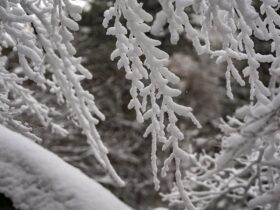 「冬ソナ」“究極の純愛”が劇場に復活　日本限定4K版で名シーン解禁