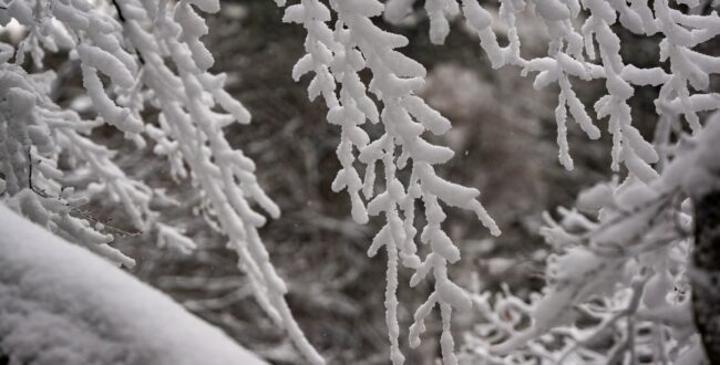 「冬ソナ」“究極の純愛”が劇場に復活 日本限定4K版で名シーン解禁