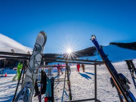 スキー板とスノーボード