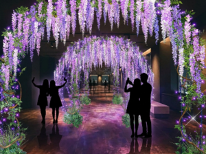 フォトスポット「藤棚エコイルミネーション」のイメージ