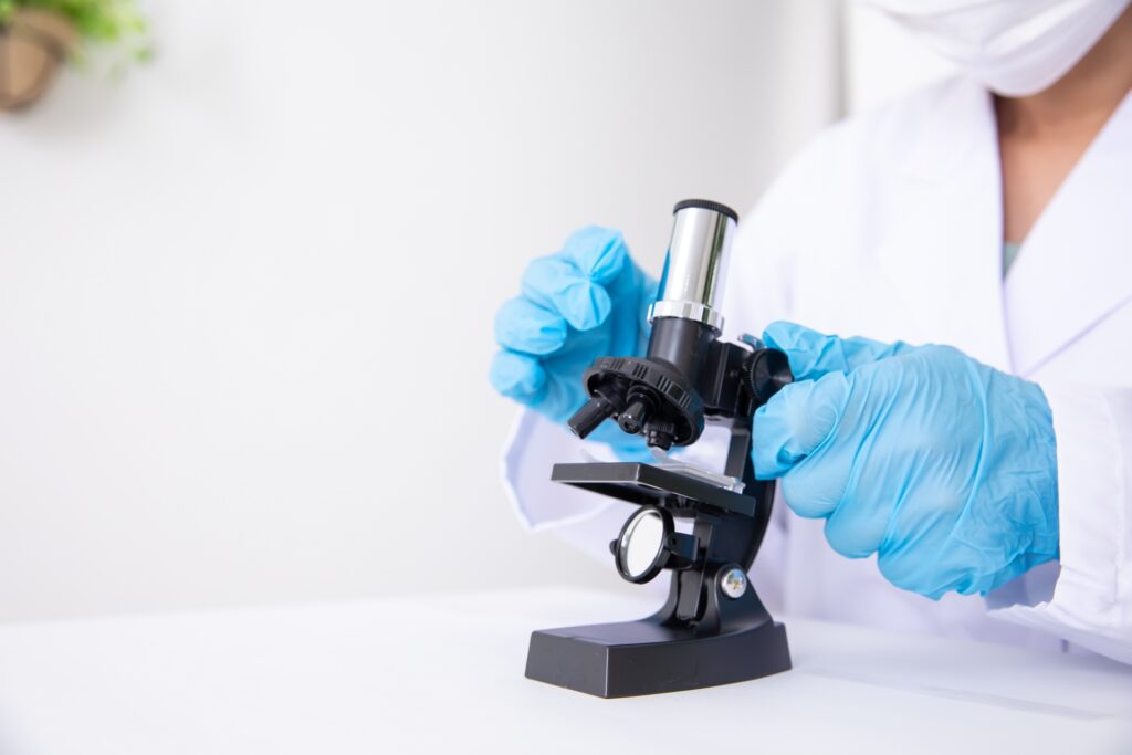 京大、老化細胞を選択的に除去する候補薬をマウスで確認　加齢性疾患治療へ一歩前進