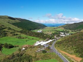 ANA、災害対応ドローン事業に参入　固定翼付き小型機で被害把握を迅速化