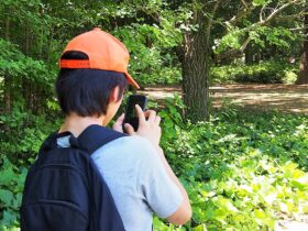 「ポケモンGO」画像300億枚、配送ロボットの“目”に　ナイアンティックが活用拡大