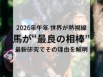 馬は人間の味方