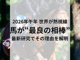 馬は人間の味方