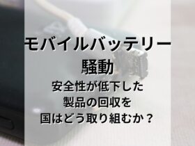 モバイルバッテリー騒動